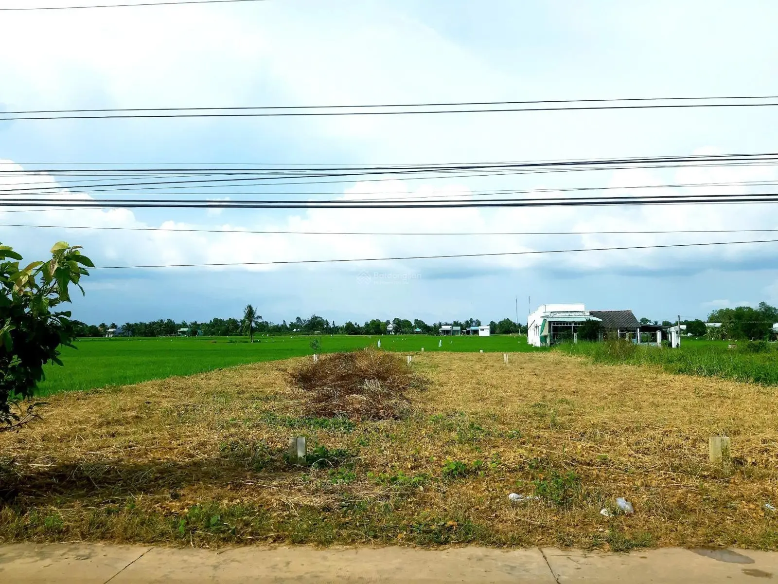 Bán 240m2 thổ cư quá rẻ, ngay MT Trần Văn Nghĩa, Cần Giuộc, giá ngợp
