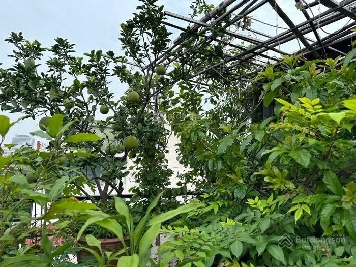 Bán căn nhà Lương Khánh Thiện - Hoàng Mai oto sát cạnh nhà 19 mét ra mặt phố không quy hoạch