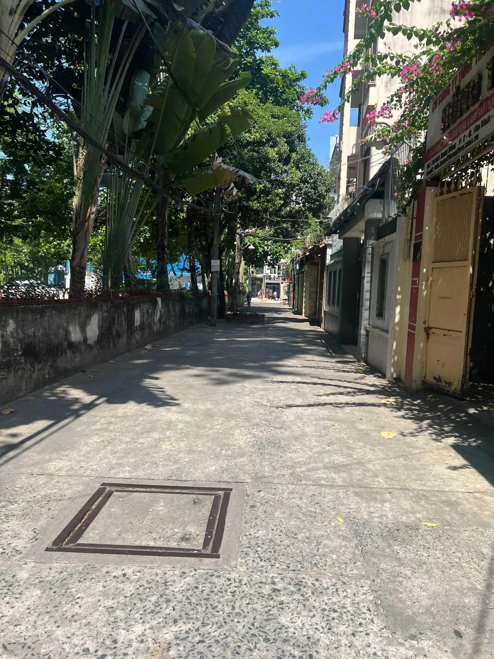 Bán đất hẻm xe hơi đường Bạch Đằng, 118m2, ngang 7,8m. Thích hợp xây CHDV, biệt thự