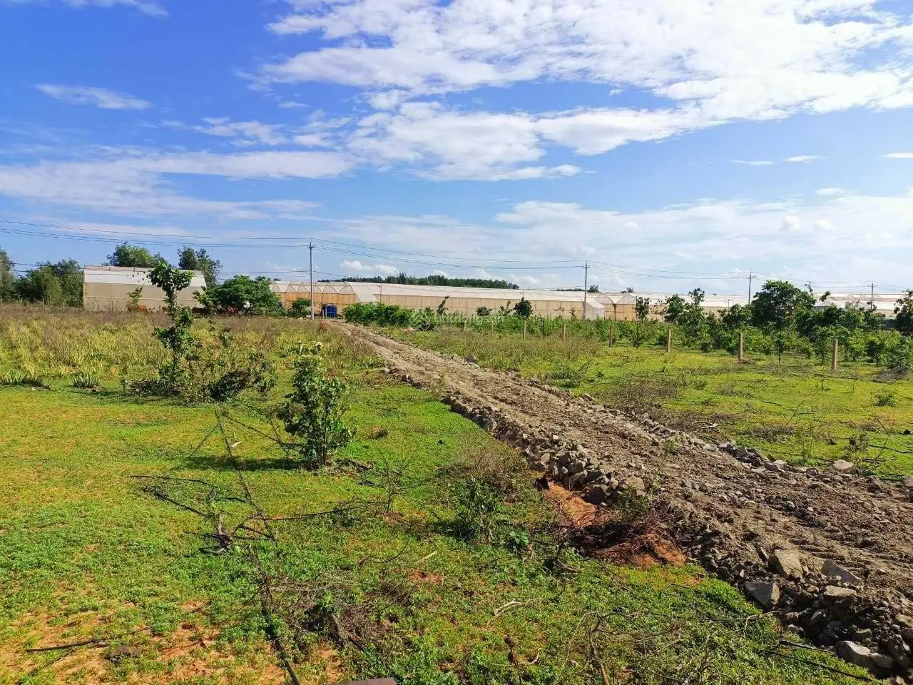 Bán 4939m2 ngay khu farm Hòa Thắng, mặt tiền đường sỏi 50m, thuận tiện canh tác, làm farmstay