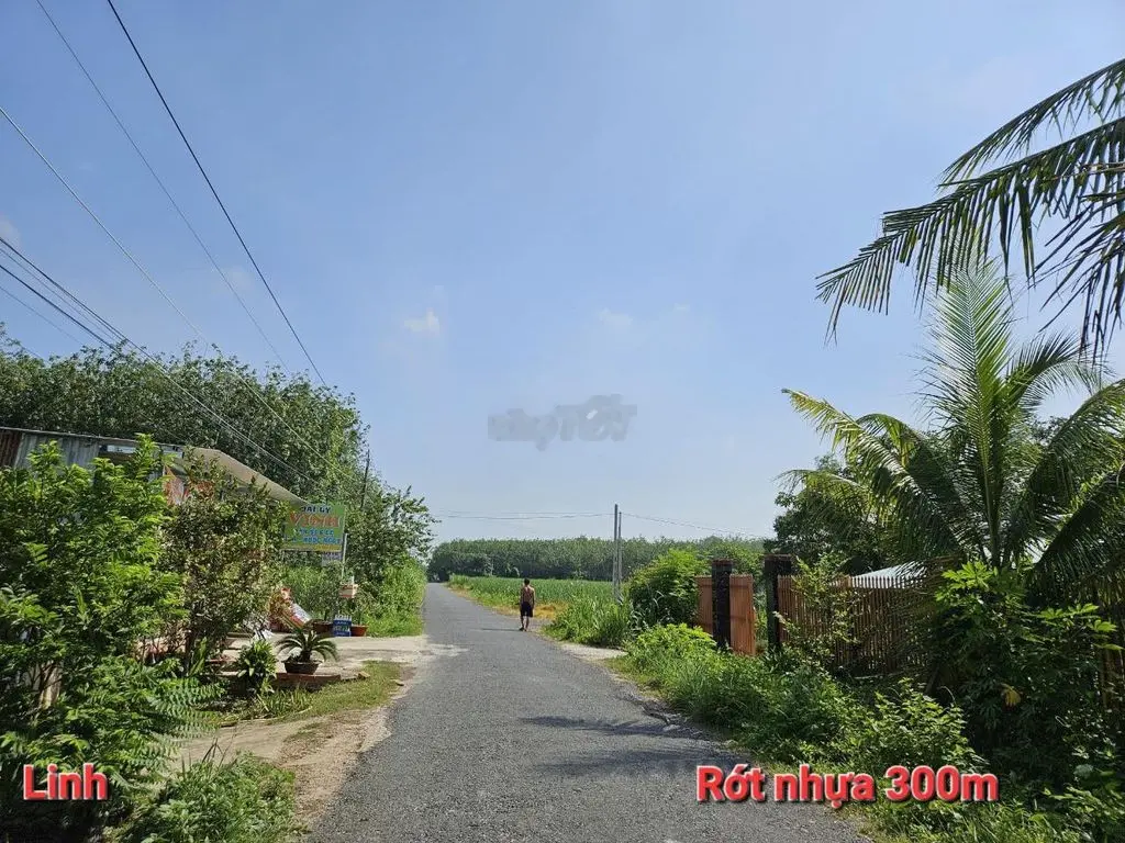 6X20 THỔ CƯ HẾT ĐẤT HIỆP THẠNH- GÒ DẦU - TÂY NINH