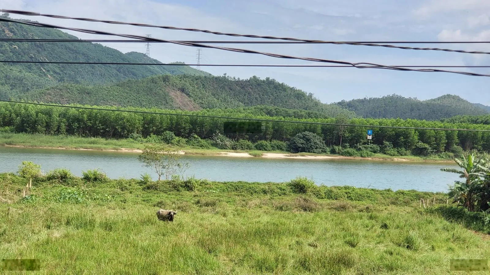 Đất vườn xã Hòa Bắc 12.586m2 có 300m2 đất ở view sông Cu Đê