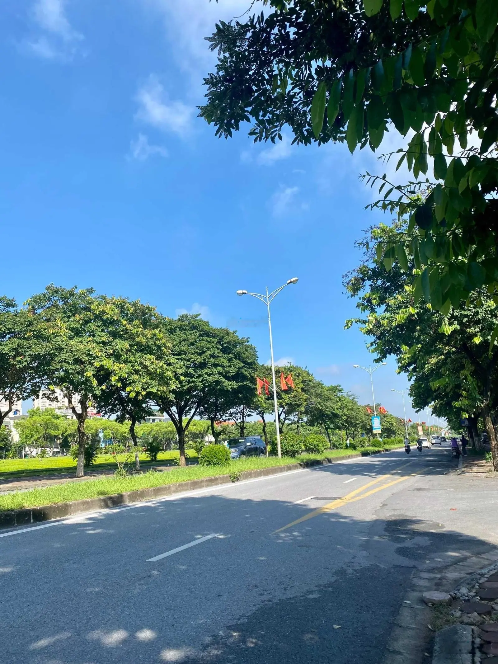 Biệt thự đơn lập mặt phố Lưu Khánh Đàm, lô góc bề thế đẳng cấp kinh doanh dT rộng 250m2 giá tốt