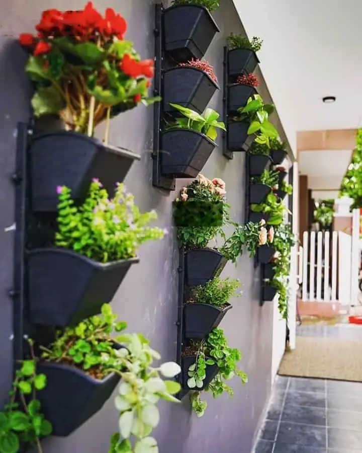 Mặt tiền Đô Đốc Lộc - Hoà Xuân - Đà Nẵng
