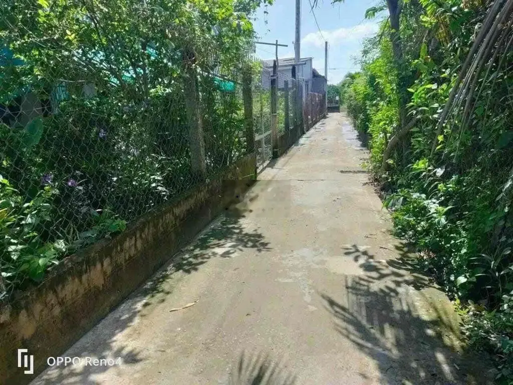 Cần bán đất