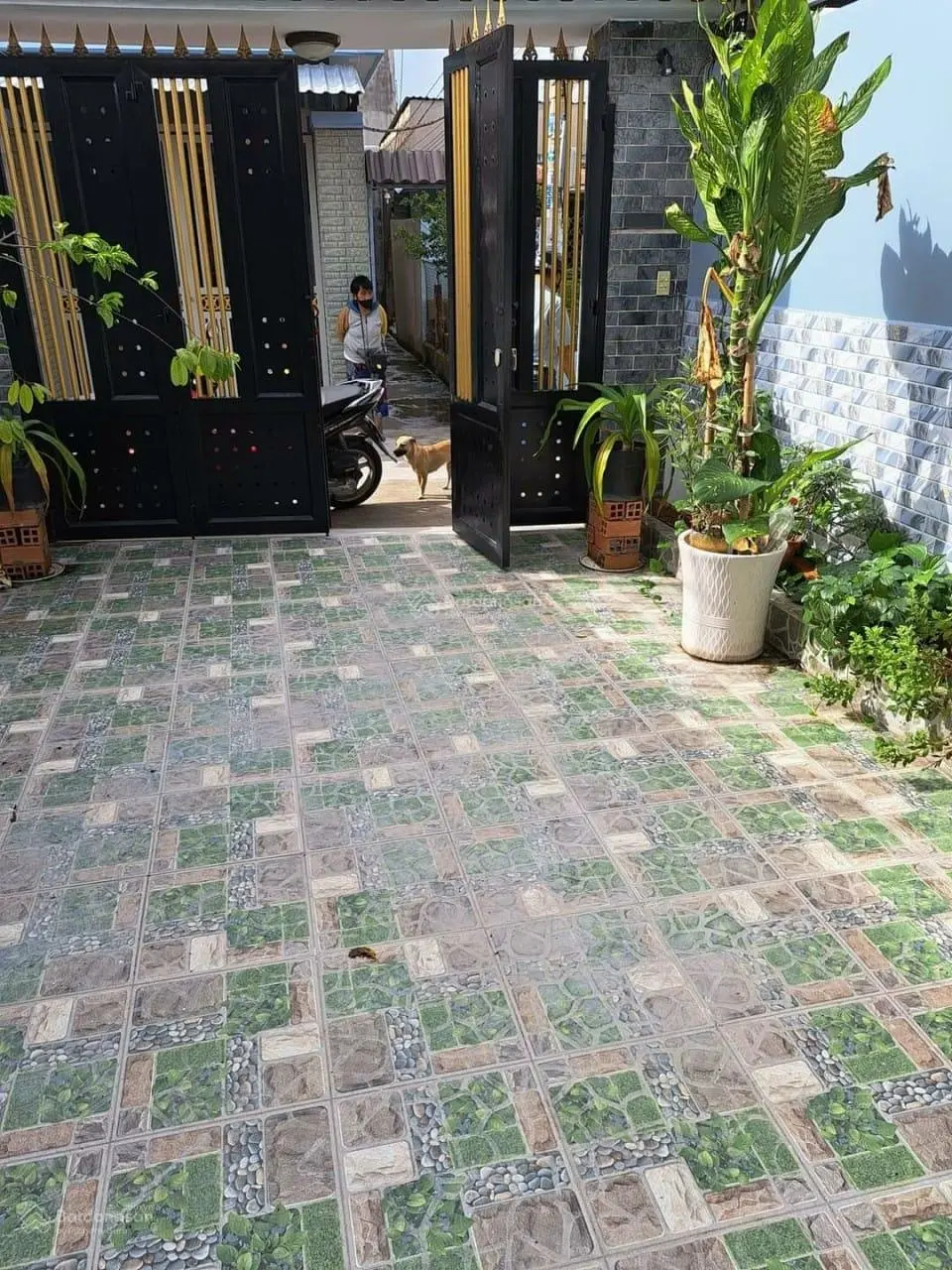 Về quê dưỡng già bán nhà Trần Quốc Thảo, Q3 49m2 2ty150 3PN