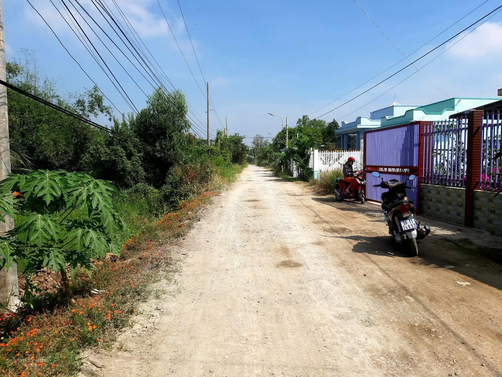 Đất MT đường đê Trương Long, xe container chạy, phù hợp làm nhà vườn, kho, xưởng