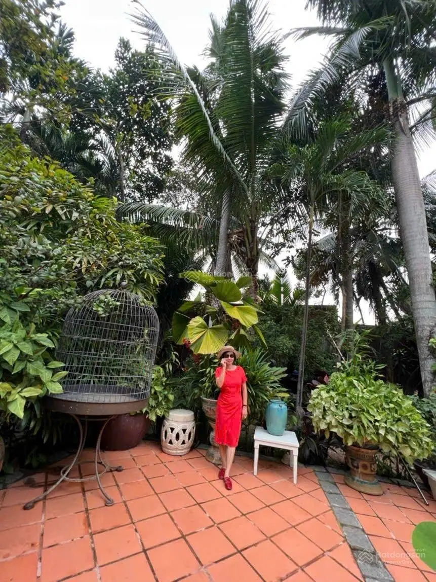 Bán khu sinh thái độc nhất dĩ an hơn 4.130m2 thổ cư 3 biệt thự pháp bộ sưu tập đồ cổ ngàn năm
