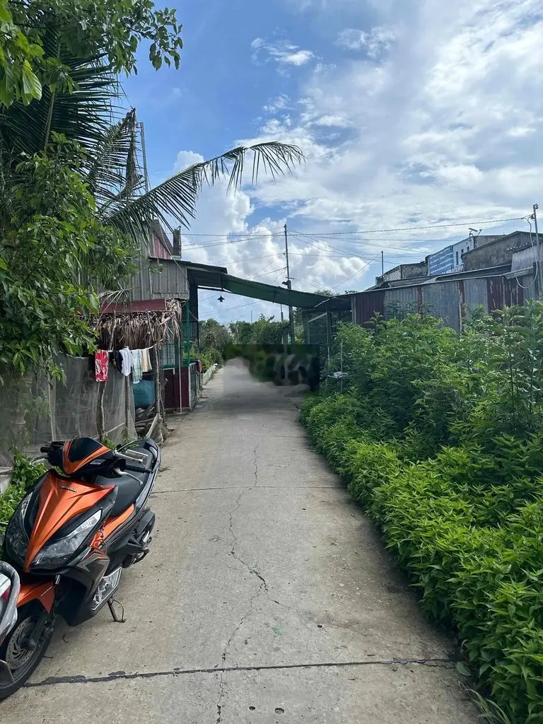 Bán đất kênh Chín Viên (có bán lẻ 6m)