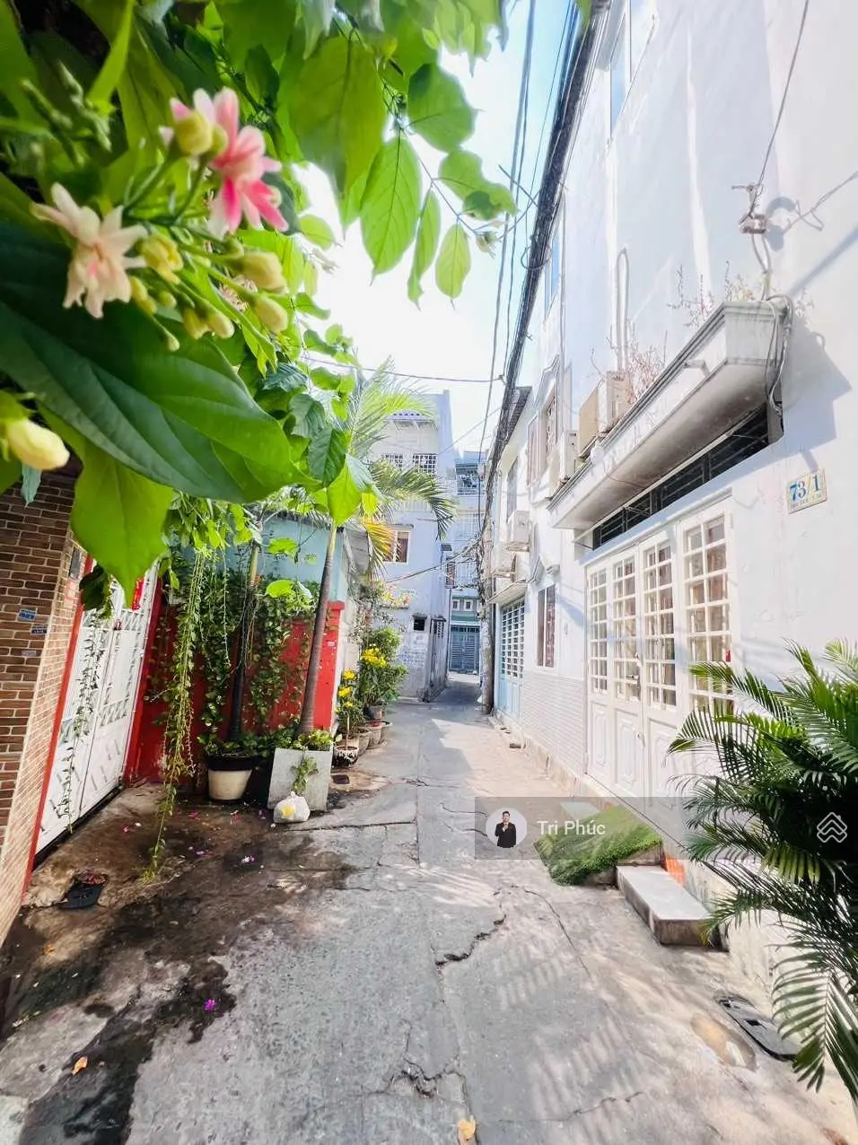 Gấp bán, nhỉnh 5 tỷ có nhà 4 tầng đúc, 3pn, 40m2, hẻm thông Nguyễn Văn Trỗi, Phường 15, Phú Nhuận