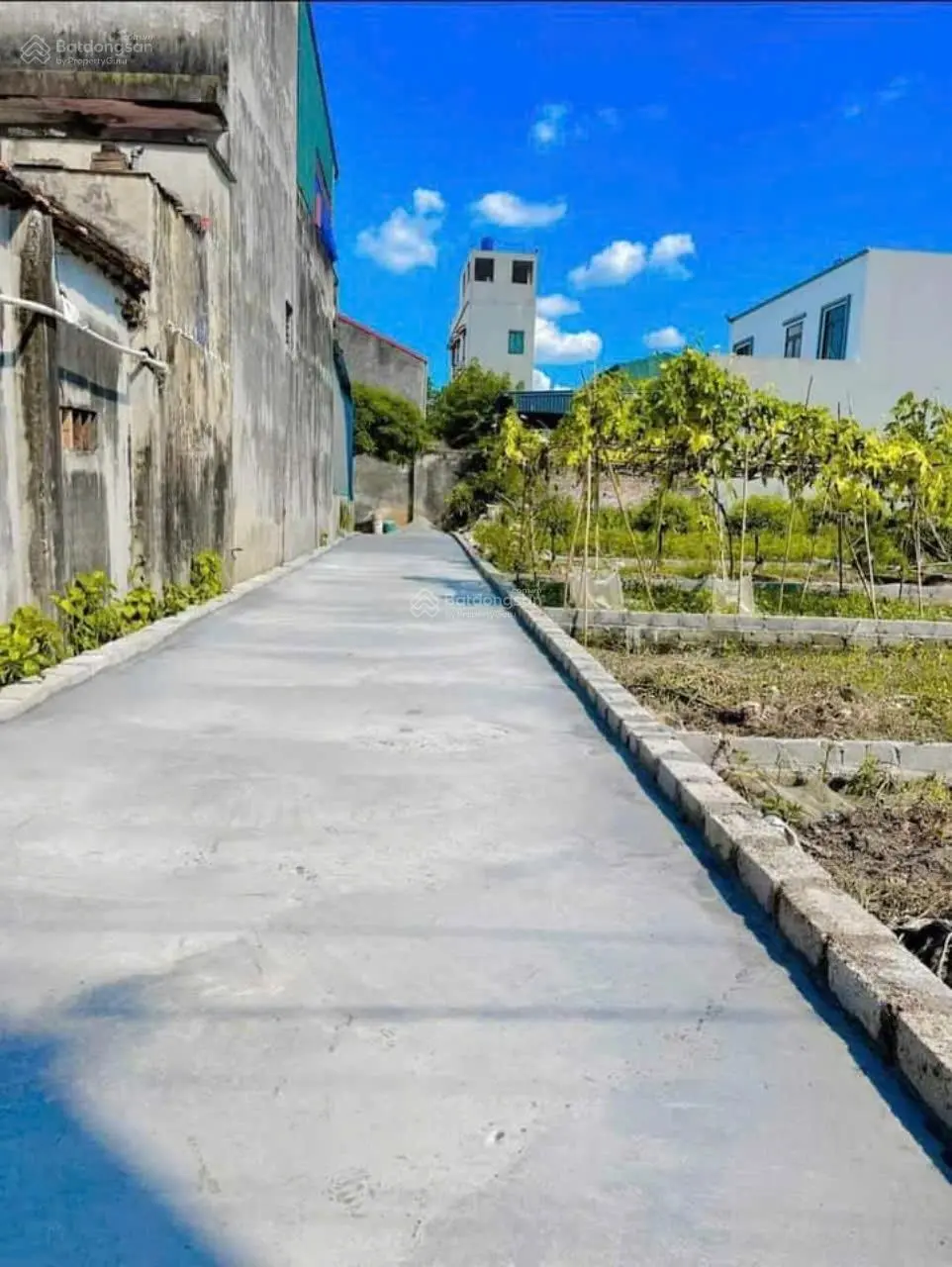 Chính chủ bán đất xâm xuyên hồng vân cạnh vd4 và cầu mễ sở chỉ nhỉnh 1 tỷ ạ o tô đỗ cửa