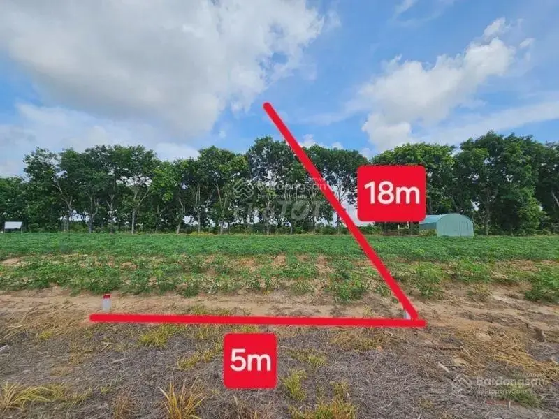 Ngân hàng thanh lý 90m2 đất thổ cư giá 900 triệu, tại xã Long Thọ, huyện Nhơn Trạch