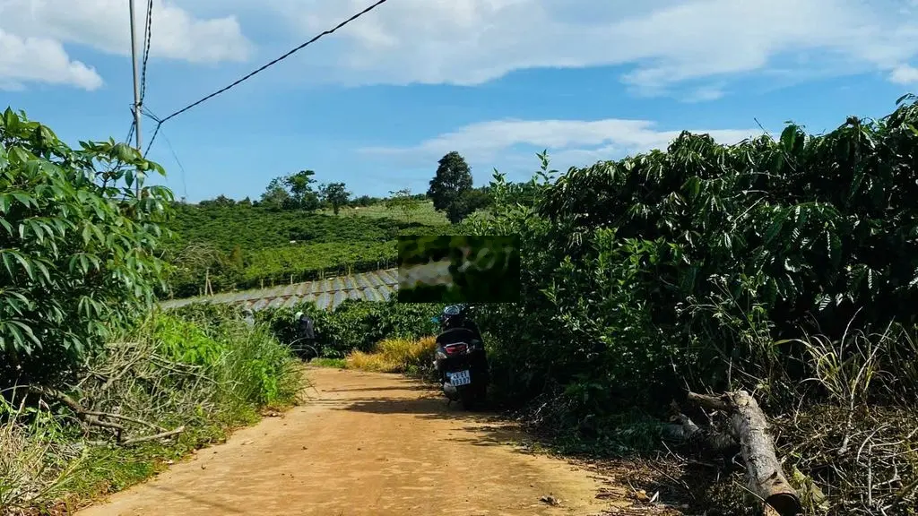 BÁN 1 SÀO ĐẤT TRUNG TÂM TÂN HÀ- LÂM HÀ VEN ĐÀ LẠT GIÁ RẺ