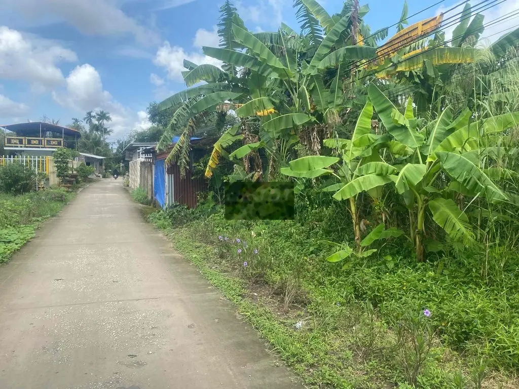 cần bán