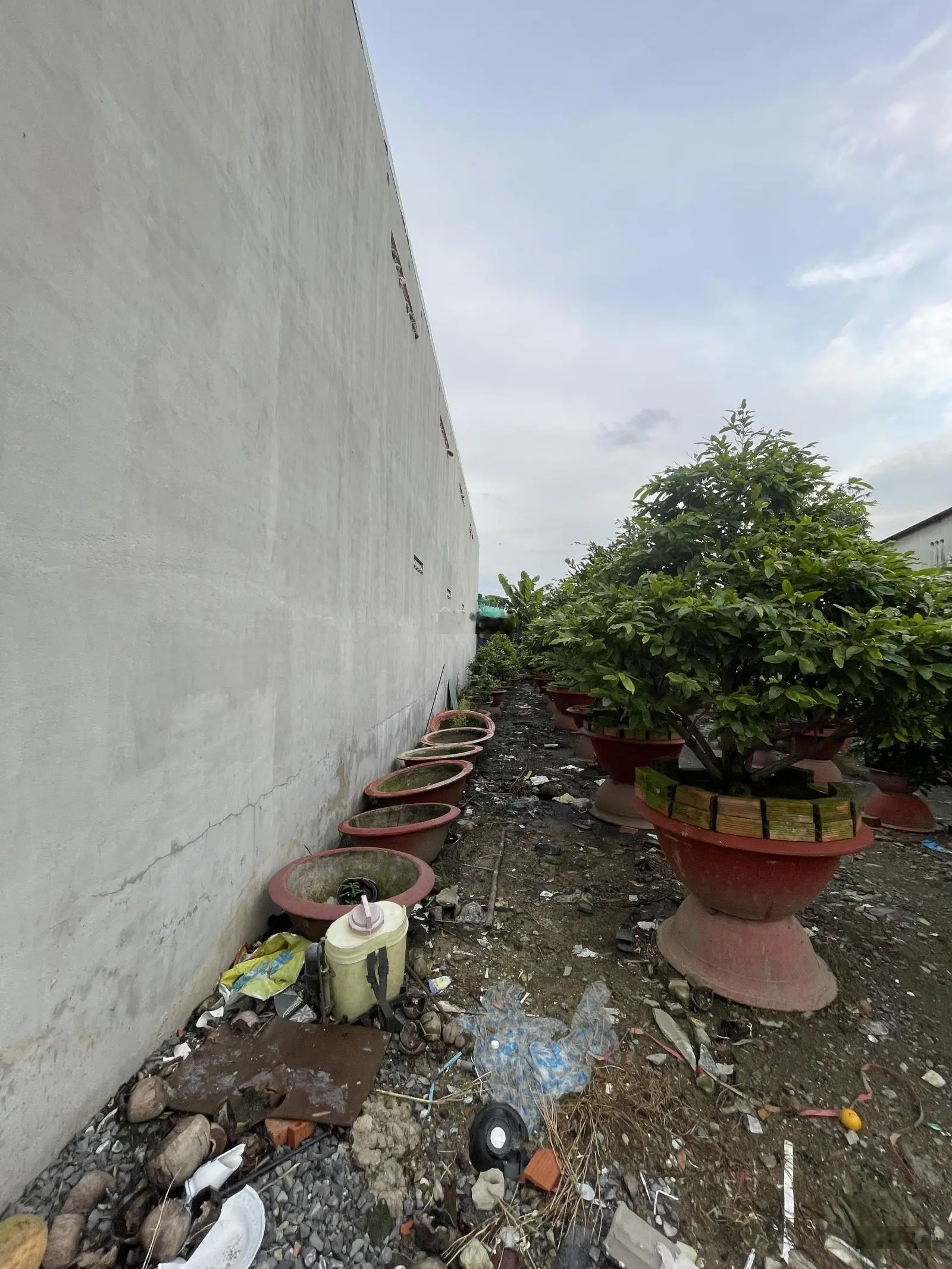 Bán miếng đất thổ cư An Phú Đông Quận 12 ngang 8 mét
