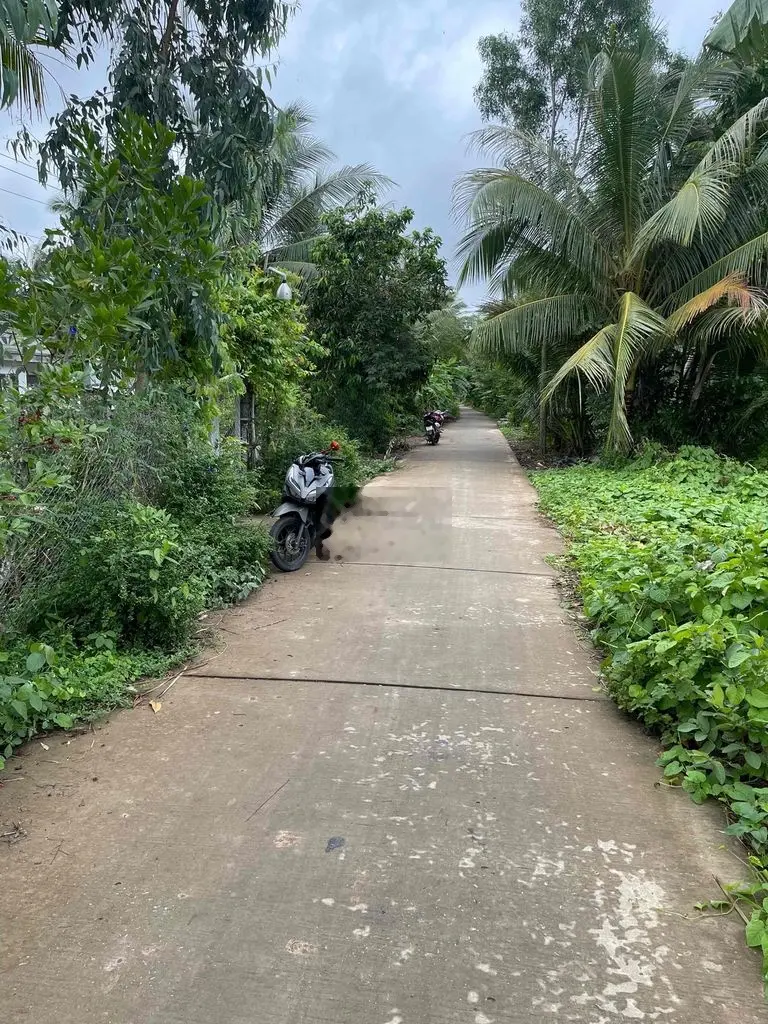 bán đất