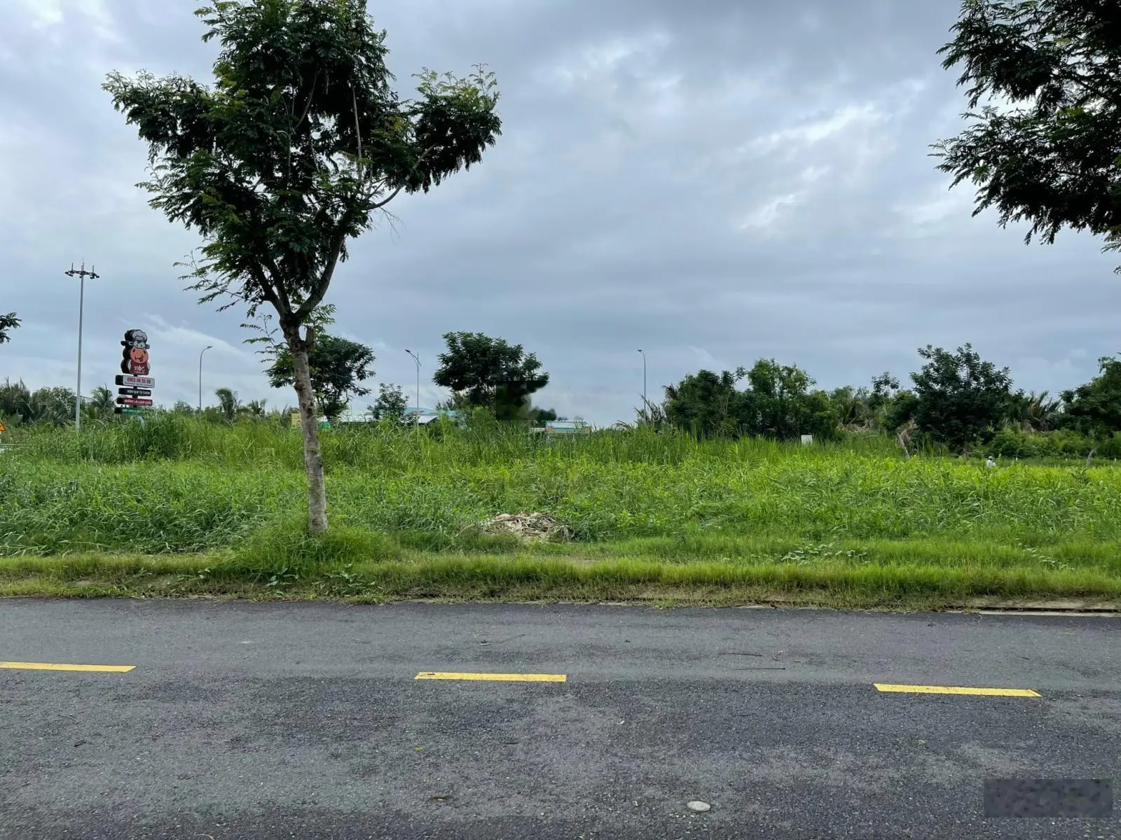 Cần bán đất nền dự án Saigon Riverpark giá chỉ 2,7 tỷ 100m2 tại Đường N1, TT Cần Giuộc, Long An.