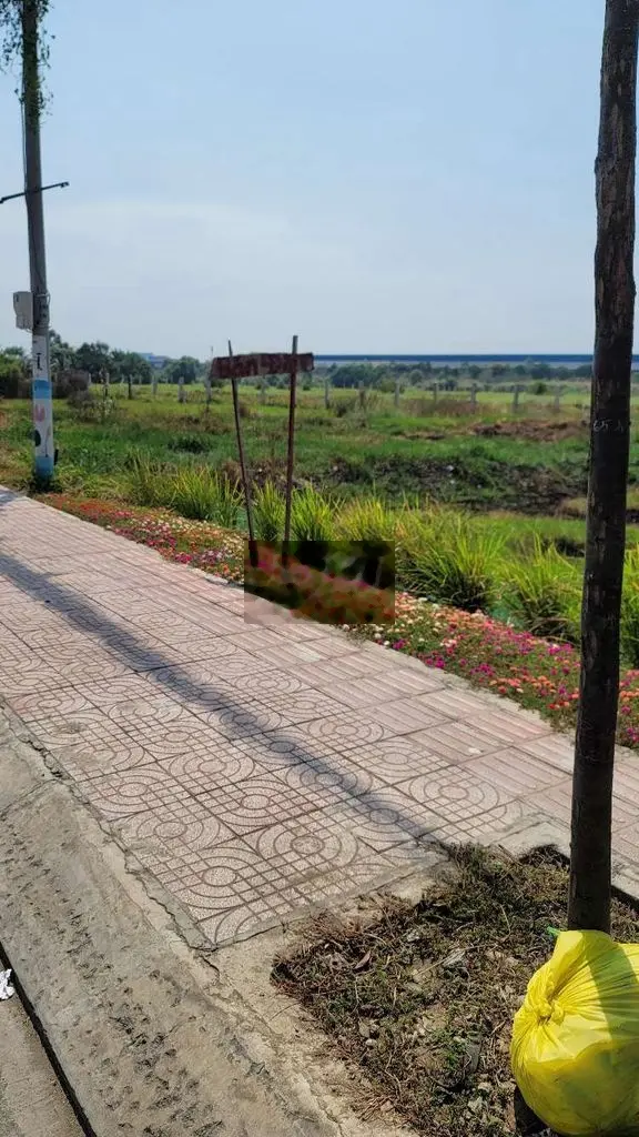 đất mặt tiền đường trục chính ĐT 818 vào Thủ thừa