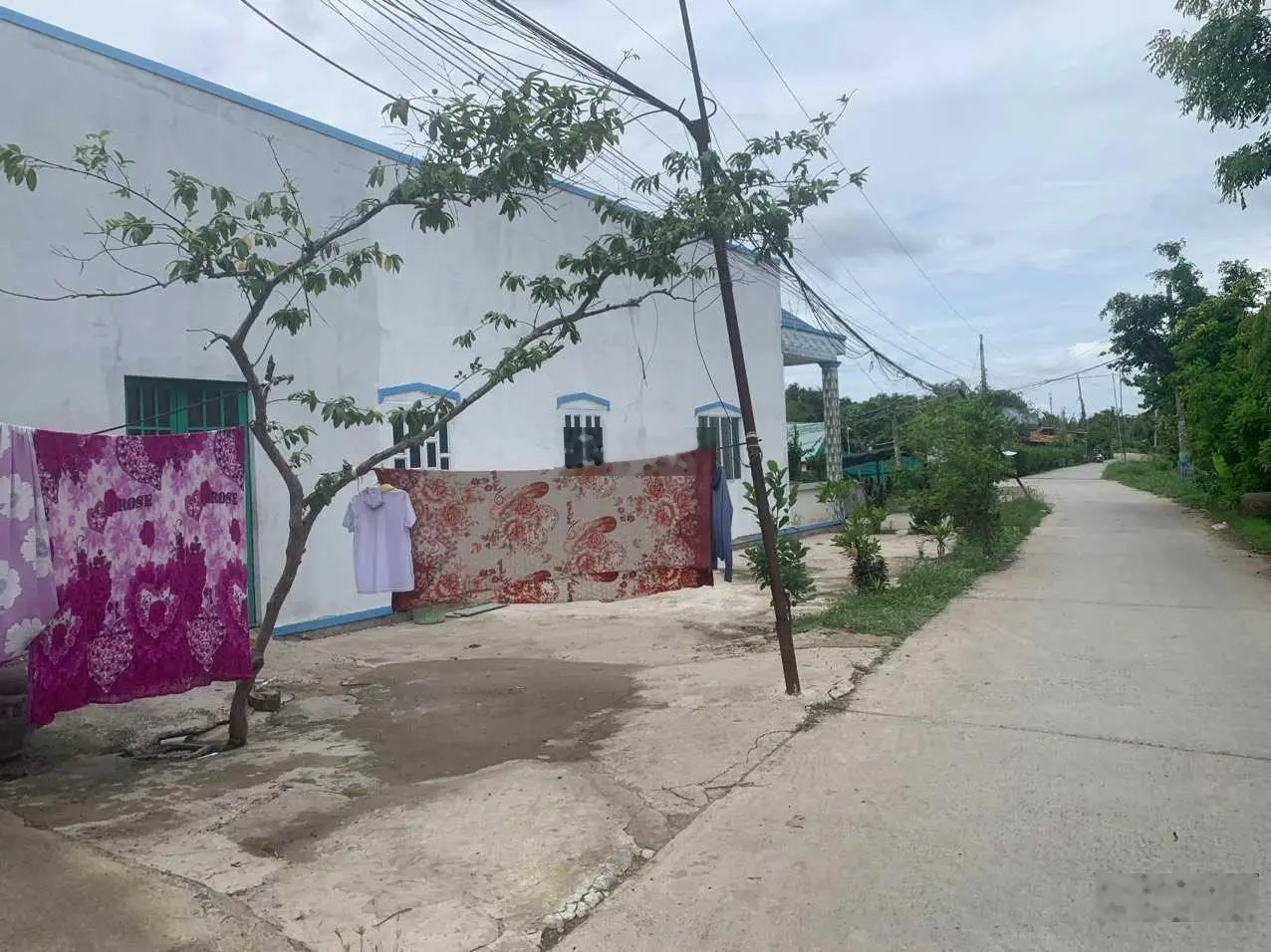 Chính chủ gửi bán 391m2 thổ cư, dân đông kín, xã Long An, Cần Giuộc, giá quá rẻ