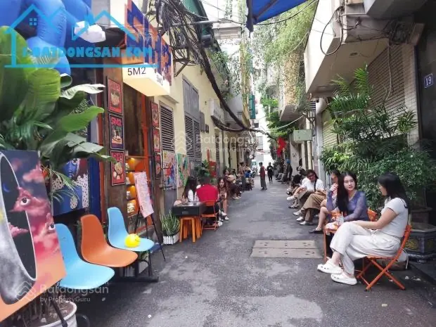 Biệt thự pháp phố đặng thái thân 65m sân vườn siêu đẹp oto vào nhà sát mặt phố 20tỷ