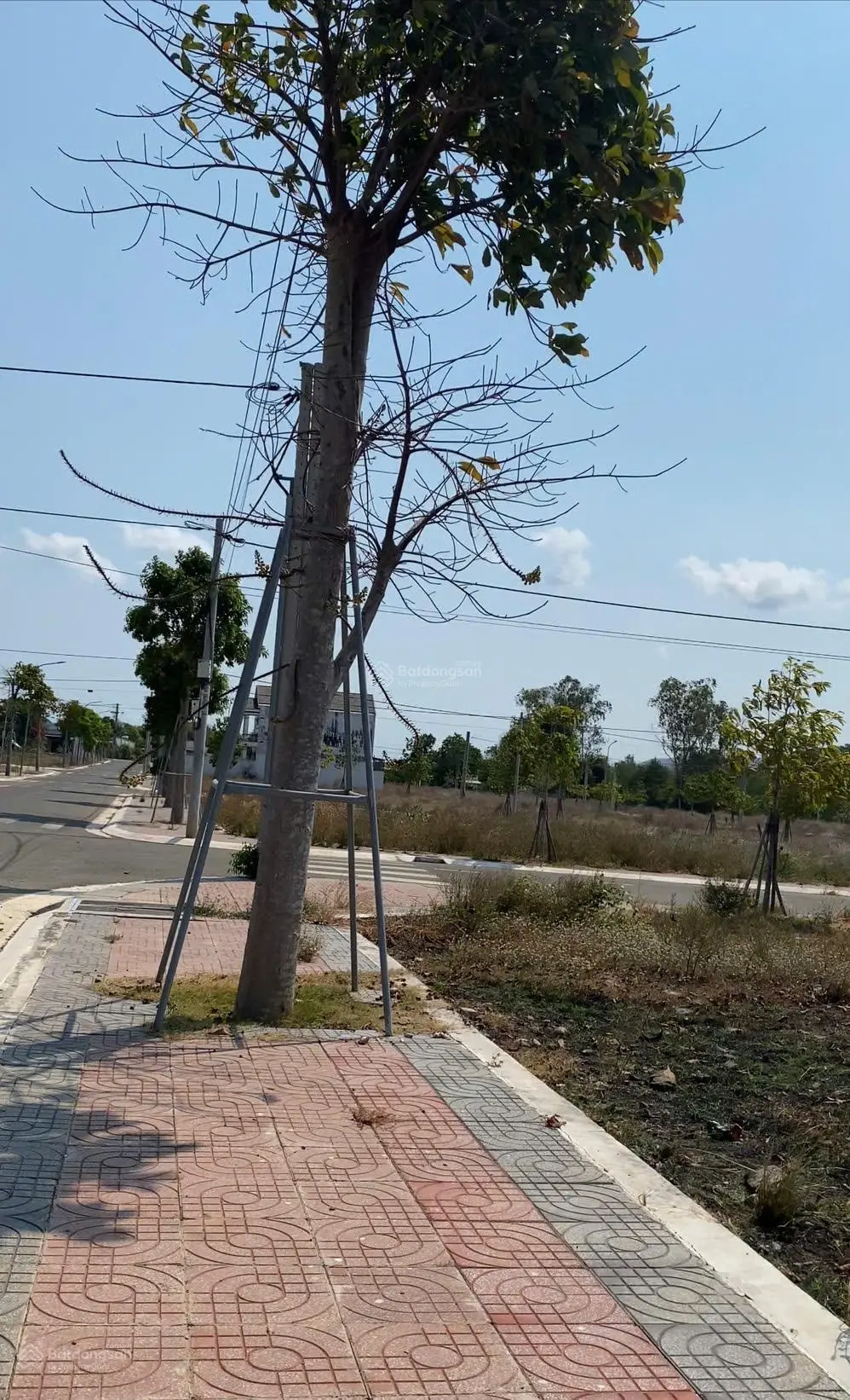 Cần tiền bán gấp đất Lan Anh 7 diện tích 171m2 full thổ cư sổ sẵn giá rẻ