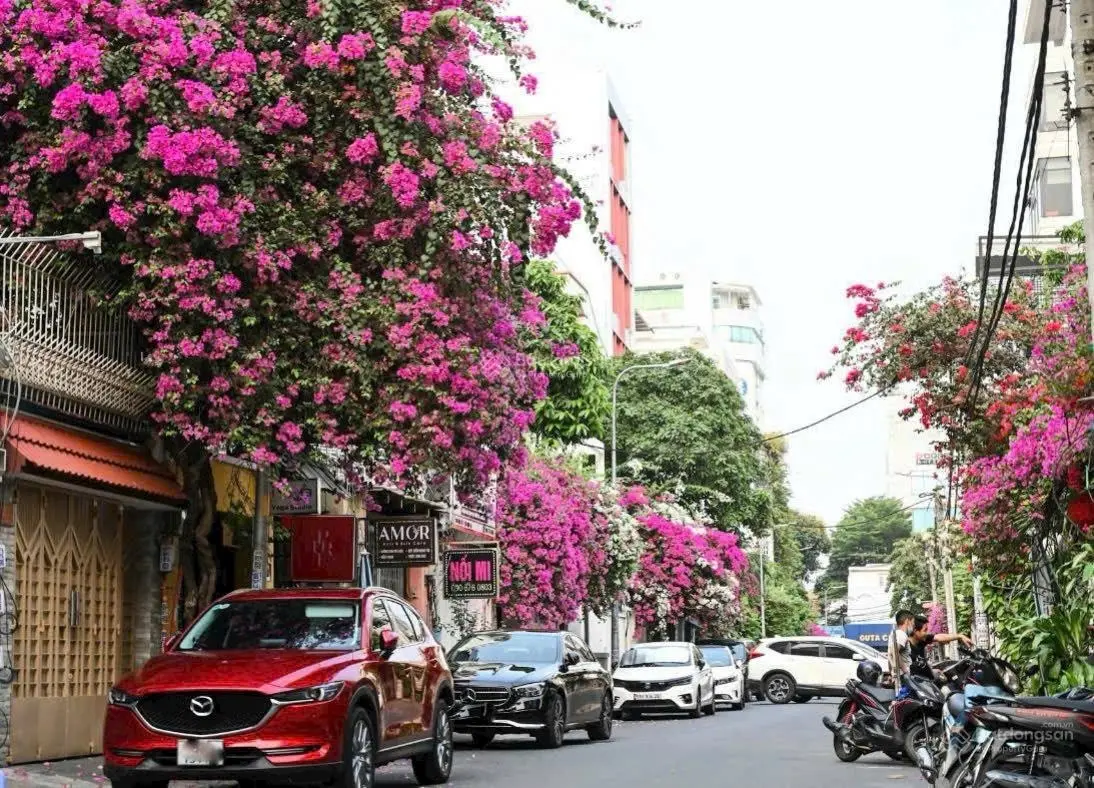 Mặt tiền đường Hoa Phường 2 Phú Nhuận, có 1 không 2. DT 4m x 16m. KC 4 Tầng. HĐT 50tr/th. Giá 20 Tỷ