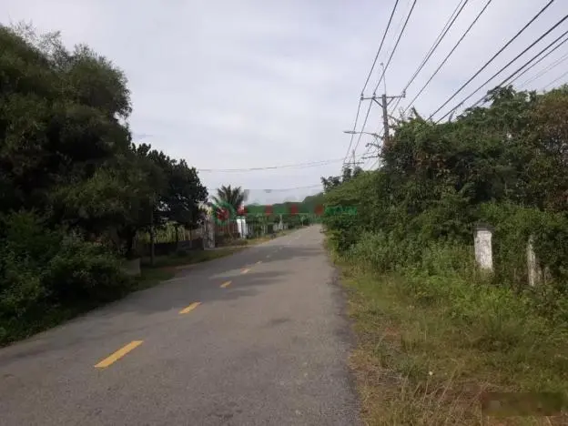 Bán lô đất Mặt tiền đường Bà Thiên rộng, dt 1167m, có 100m thổ cư, xã Nhuận Đức, Củ Chi.