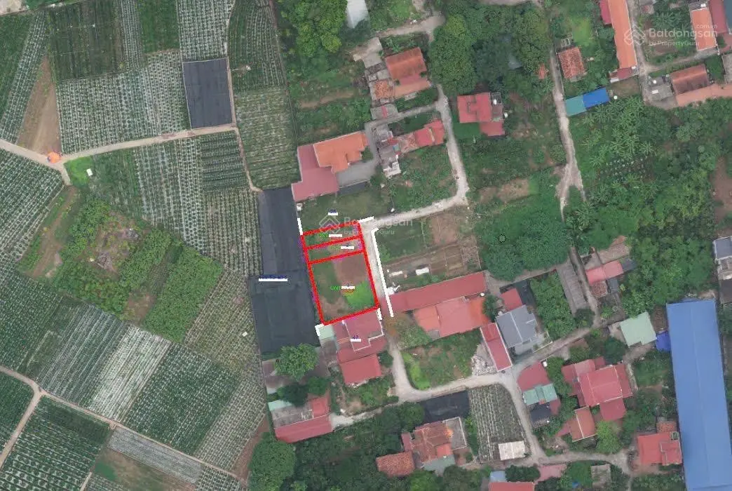 Rẻ nhất Văn Giang chỉ hơn 1 tỉ sở hữu ngay 62m2 tại Văn Giang
