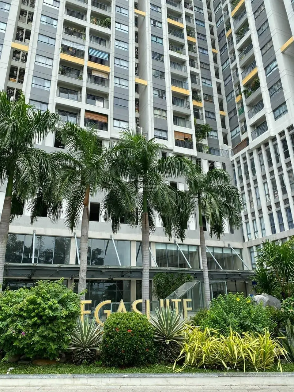 Căn hộ đẹp nhất rẻ nhất The Pegasuite full nội thất 3PN bao vay ngân hàng