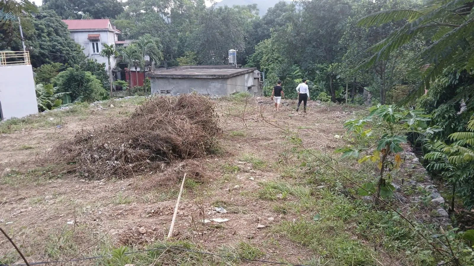 Bán GẤP, cắt lỗ 505m2 có 200m2 TC, Mặt tiền 19m, mặt đường QL 6, ở Trung Tâm Thị trấn Lương Sơn, HB