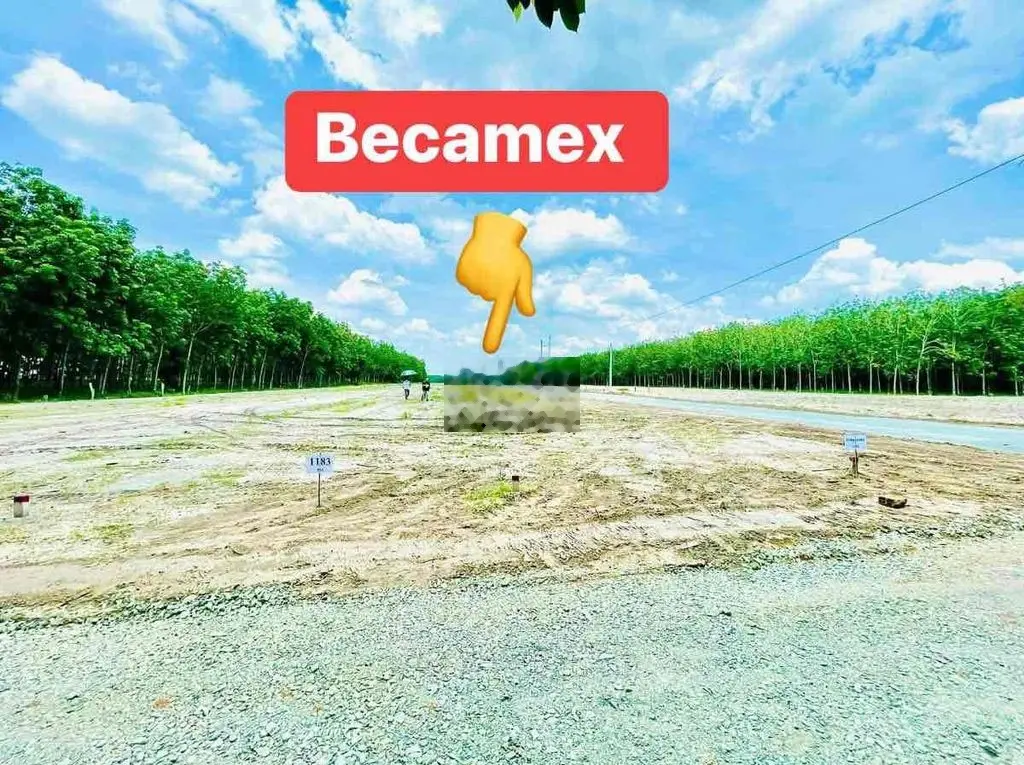 Đất vành đai 130m2 sát kcn Becamex Chơn Thành ngân hàng hổ trợ 50%