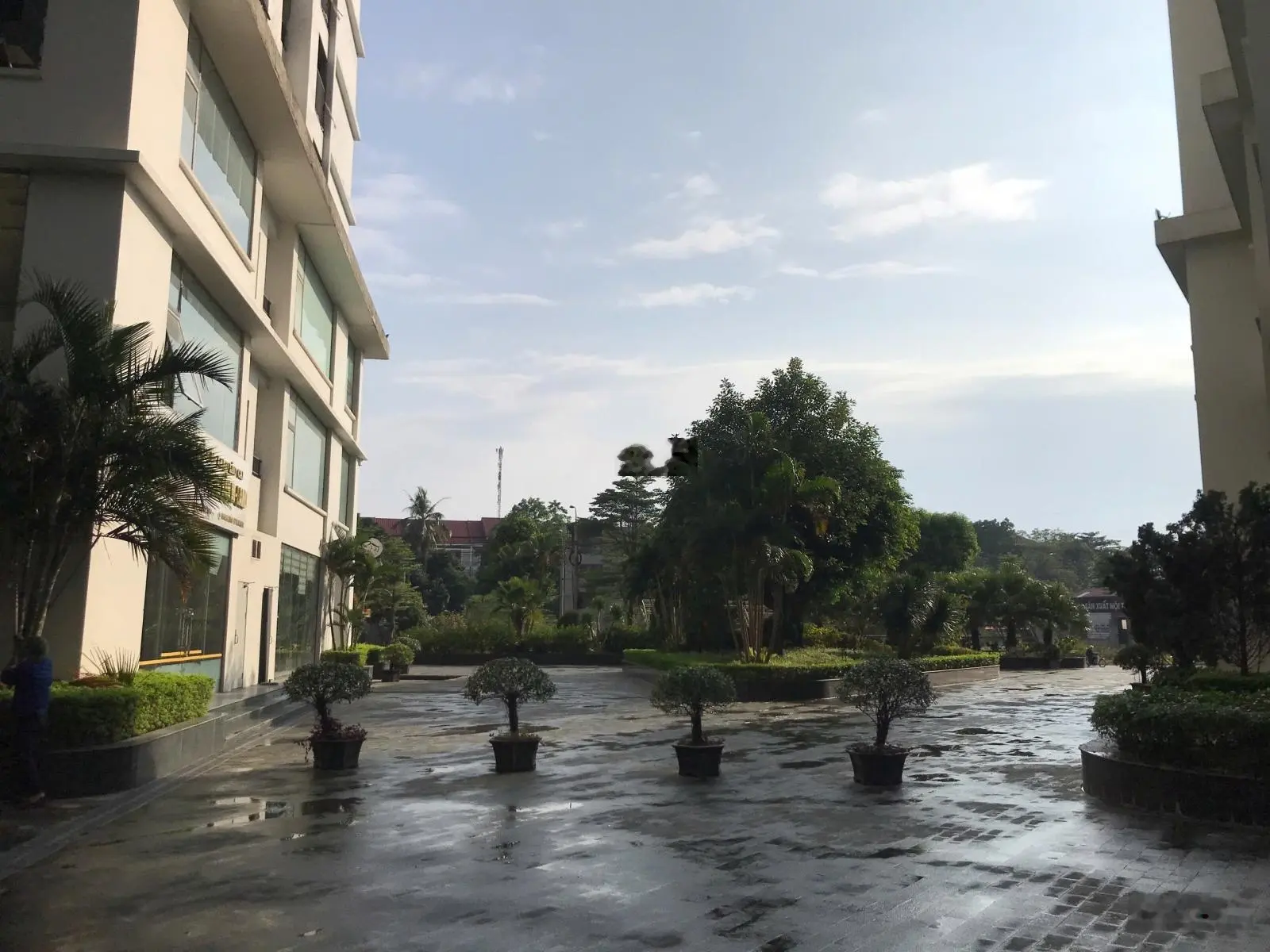 (cash home) sản phẩm nhà ở tạo dòng tiền hàng tháng ,đầu tư chỉ từ hơn 800 triệu