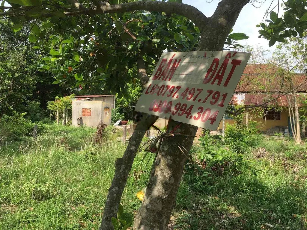 Đất đẹp