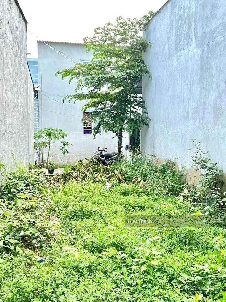 Đất ngay sau lưng chợ Bình Chánh, đường Huỳnh Văn Trí, xã Bình Chánh, 93m2. SHR/TC. 0937 809 ***