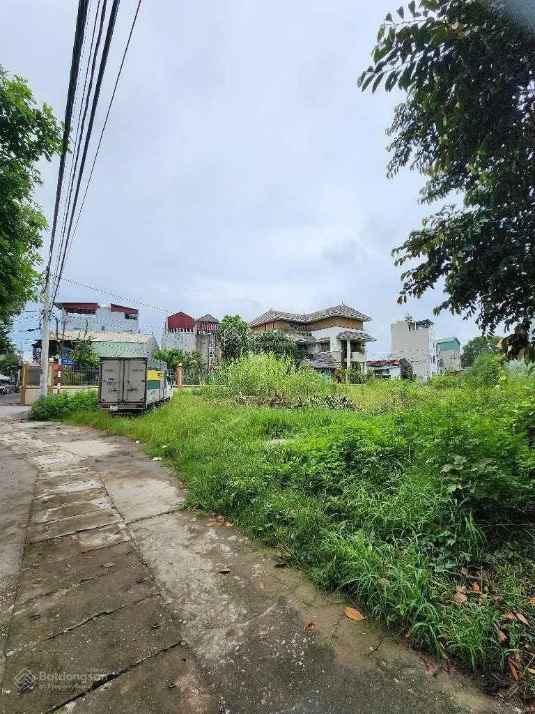 Trục chính - lô góc - ở và kinh doanh, 61 m2 MT 5m, ô tô tải thông sang Ecopark và Ocean Park