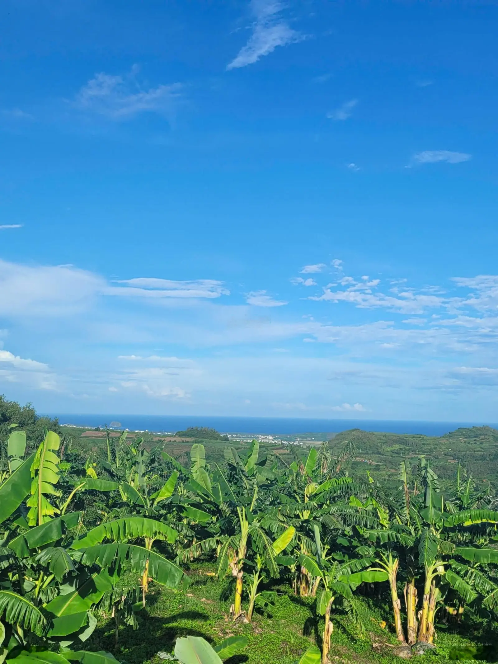 Bán 3000m2 đất nghỉ dưỡng An Thọ, Tuy An, view thấy biển, thành phố, cách biển 4km, giá 599 tr