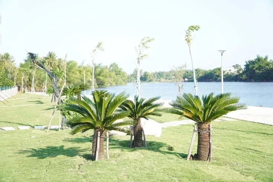 Bán lô góc mặt tiền sông Phước Giang 250m2 khu dân cư An Lộc Phát, đường Sông 15.5m, sổ hồng riêng