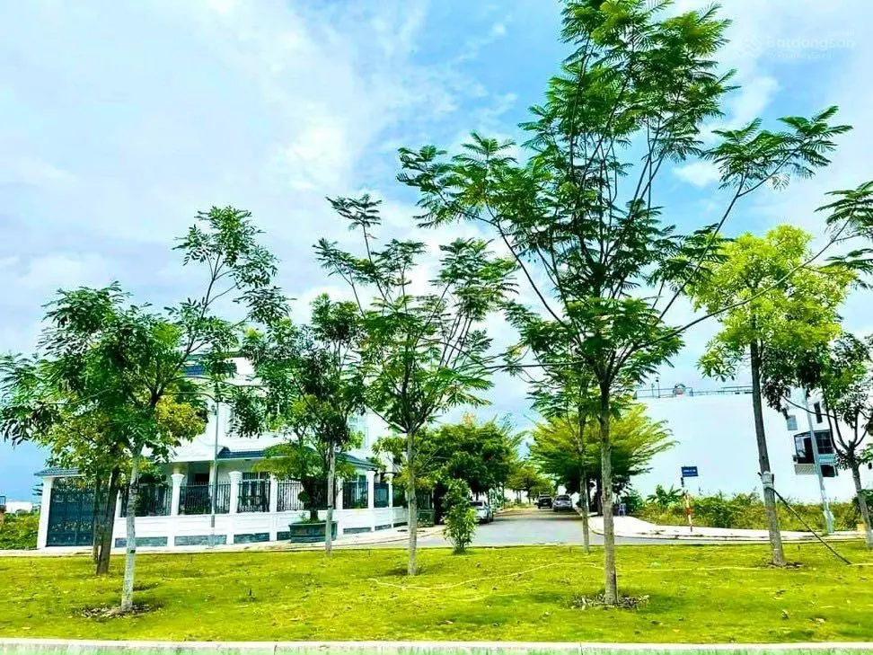 Cập nhật giỏ hàng Mỹ Gia các lô giá tốt nhất