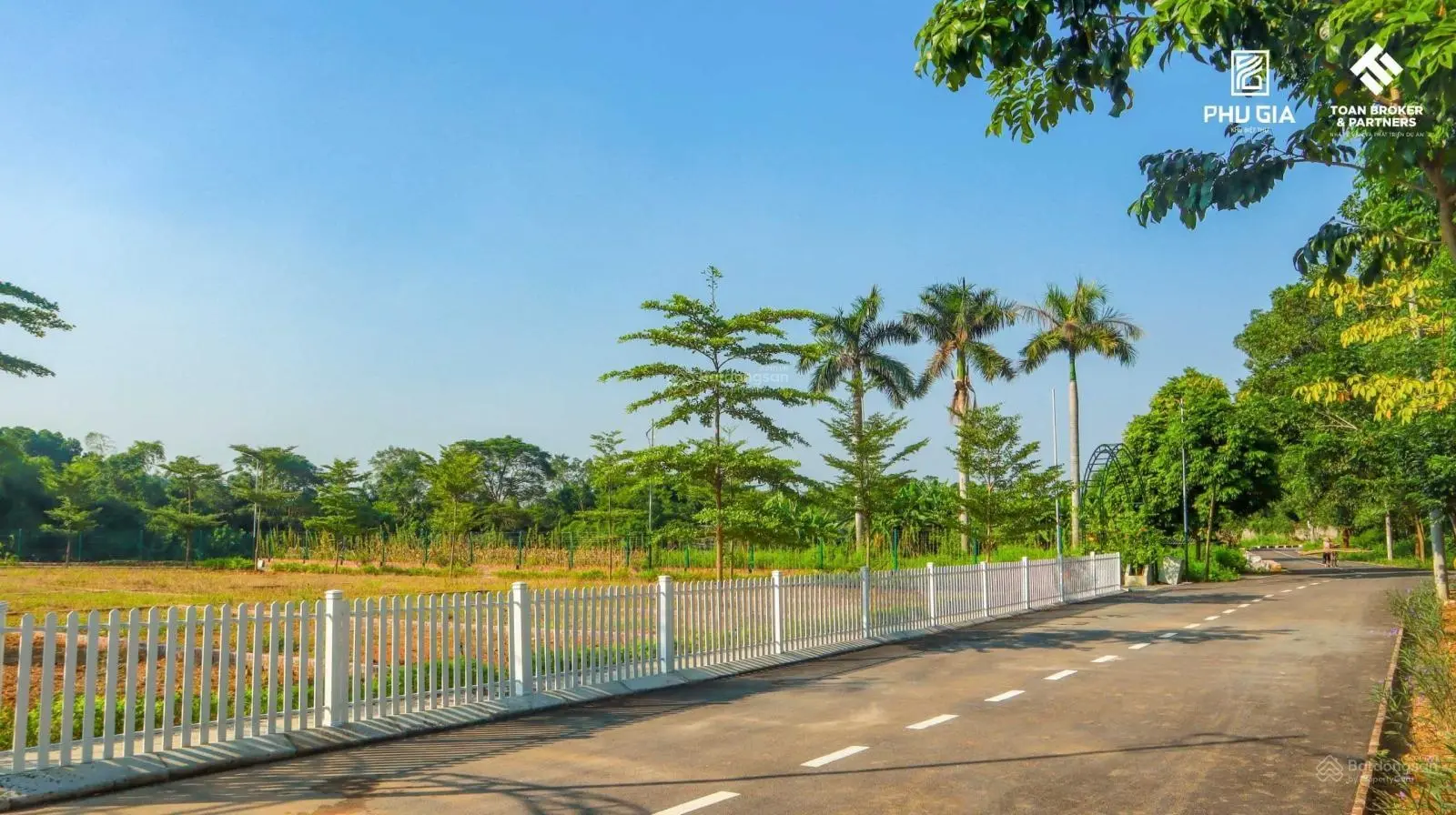 Em trai cần tiền nhờ bán 240m2 giá hơn 10tr/m2 khu biệt thự Phú Gia, Phú Mãn, Quốc Oai Hòa Lạc