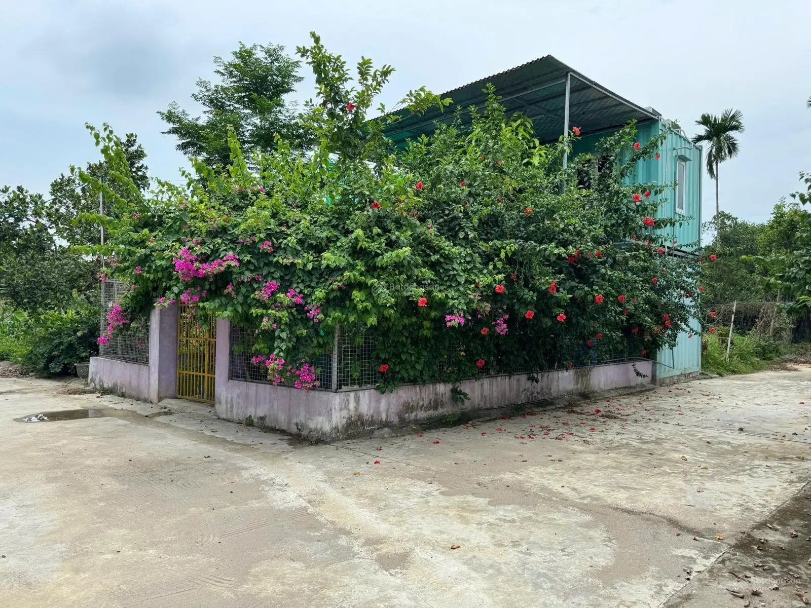Lô góc 83,9m Sen trì Full tc căn nhà màu tím, sẵn tặng 2p ngủ 2 vệ sinh, điều hòa đầy đủ sẵn ở