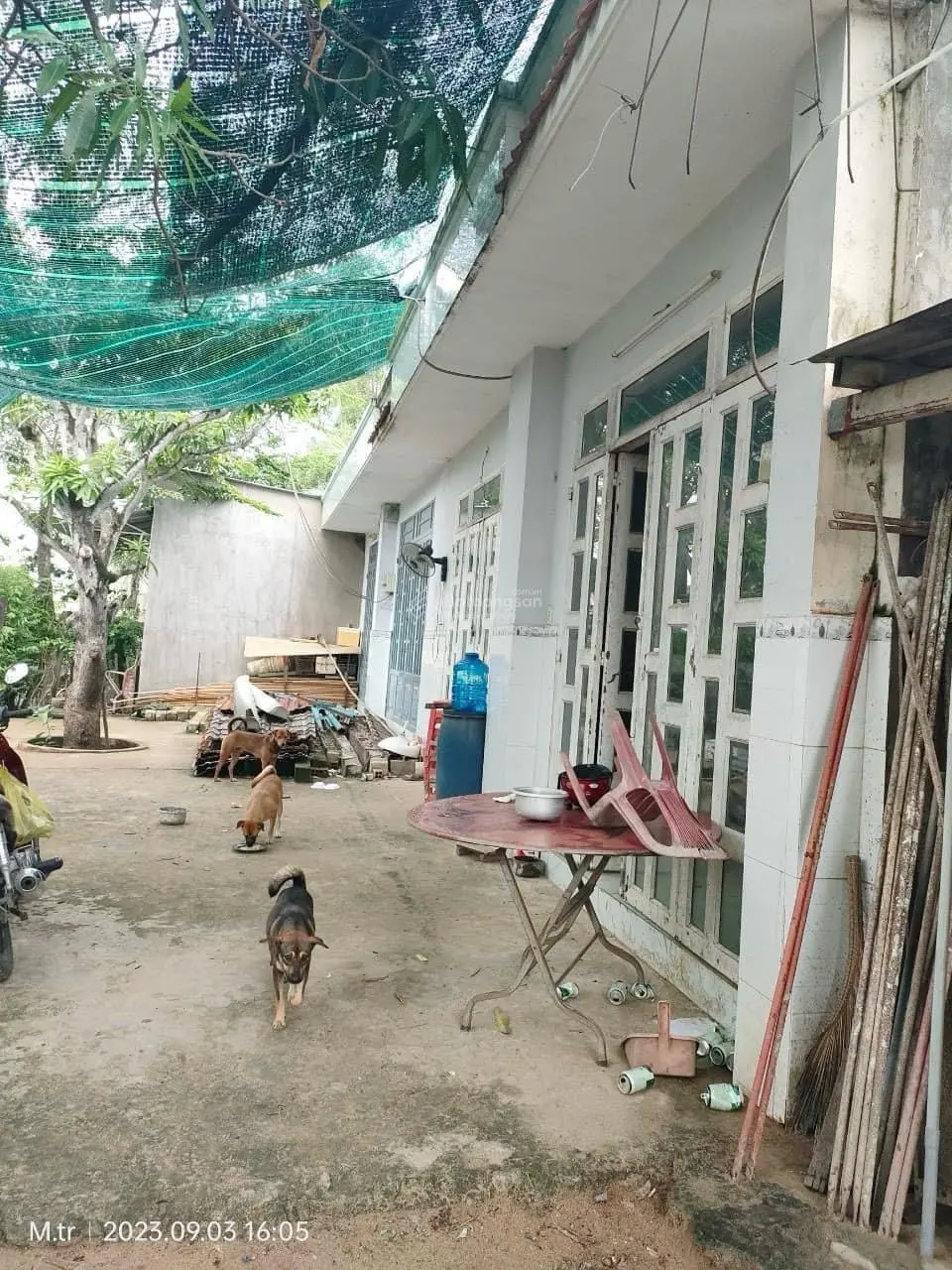thị trấn tân túc 800m2 có 5căn nhà trên đất đường xe hơi