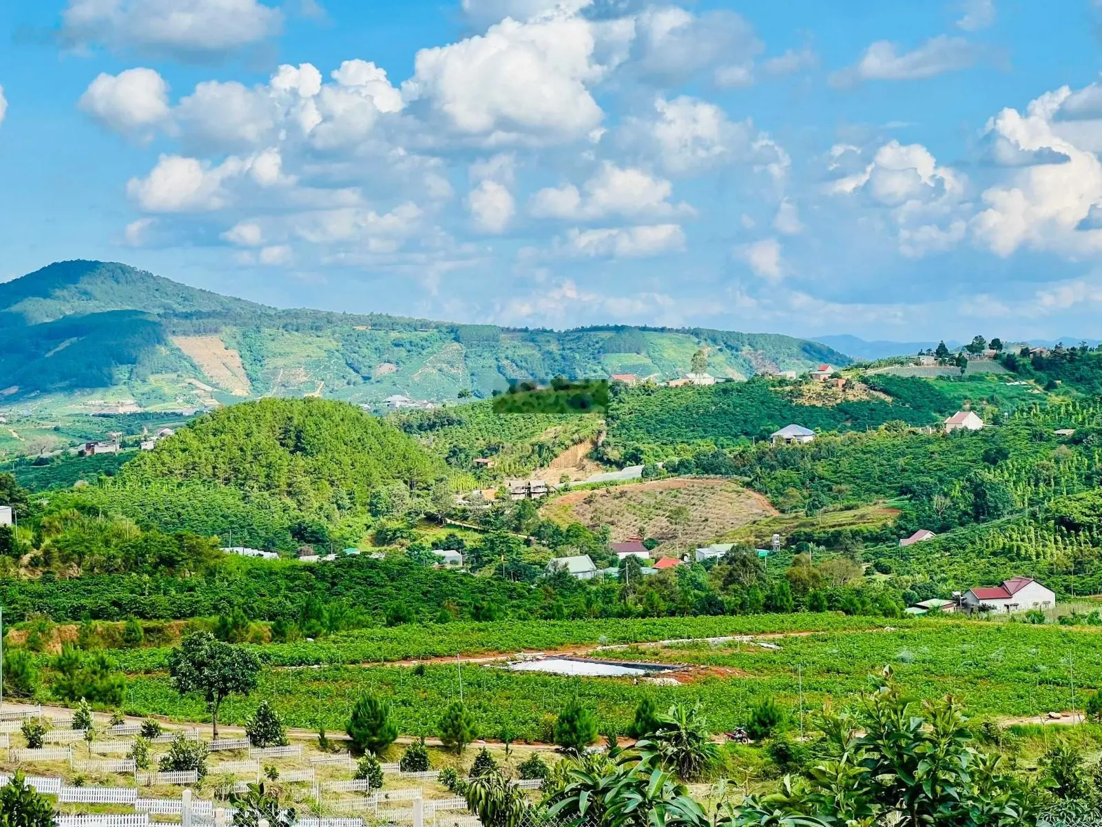 Bán đất nghỉ dưỡng ven Đà Lạt xã Nam Hà. Cách UB xã chỉ 1.5 km