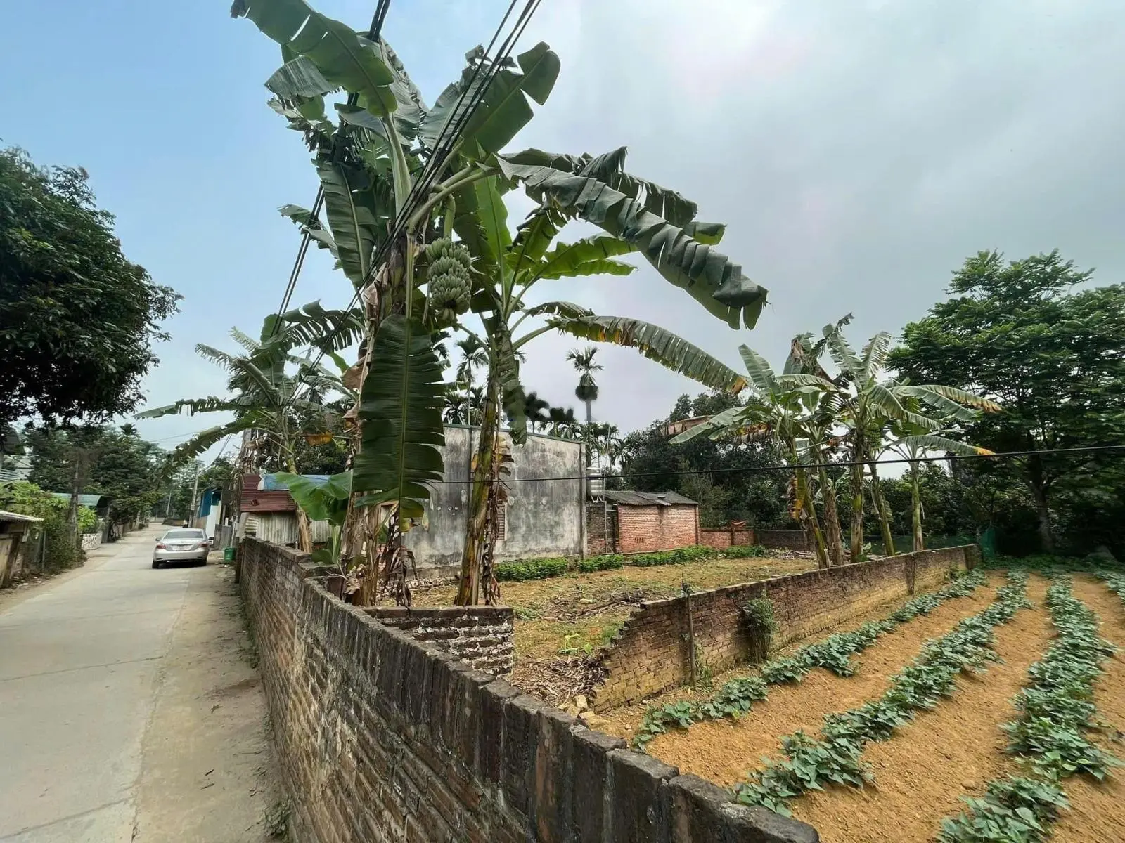 BÁN Diện tích đất: 277m, mặt tiền: 10,5m 0981 769 *** Thuộc: Yên Bình- Thạch Thất - Hà