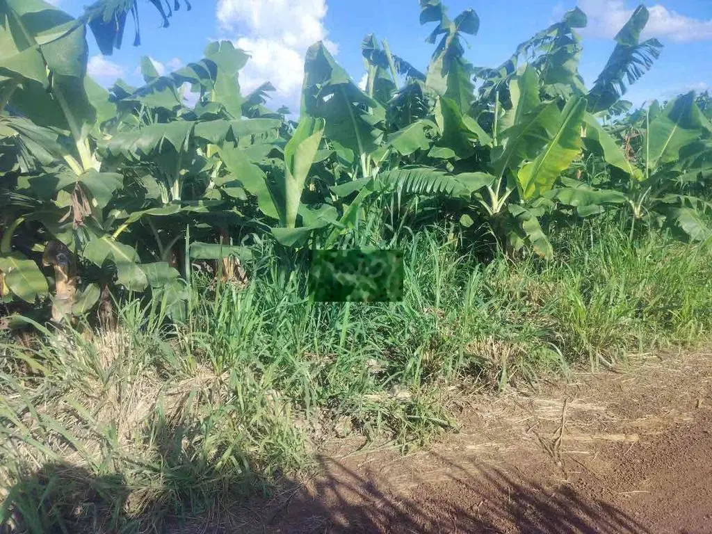 ĐẤT SỔ RIÊNG 8000m2 (8sào)MẶT TIỀN 55m,THUỘC SÔNG TRẦU,TRẢNG BOM