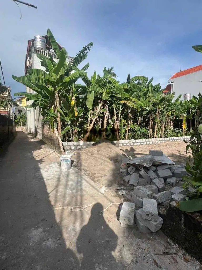 bán đất xâm thị hồng vân