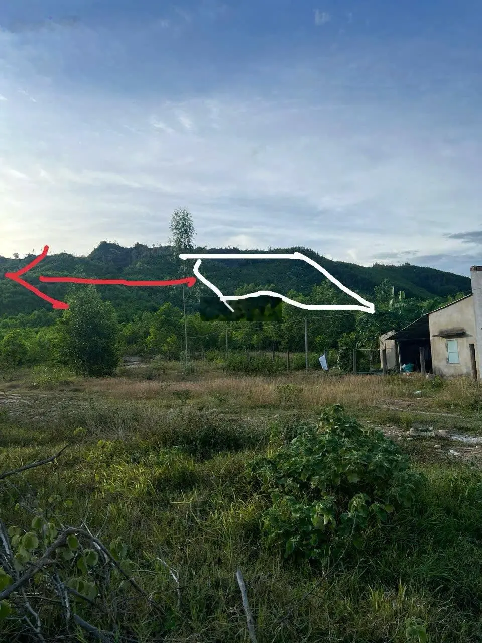 Bán hơn 3.5ha đất rừng thuộc TP Quy Nhơn, Bình Định