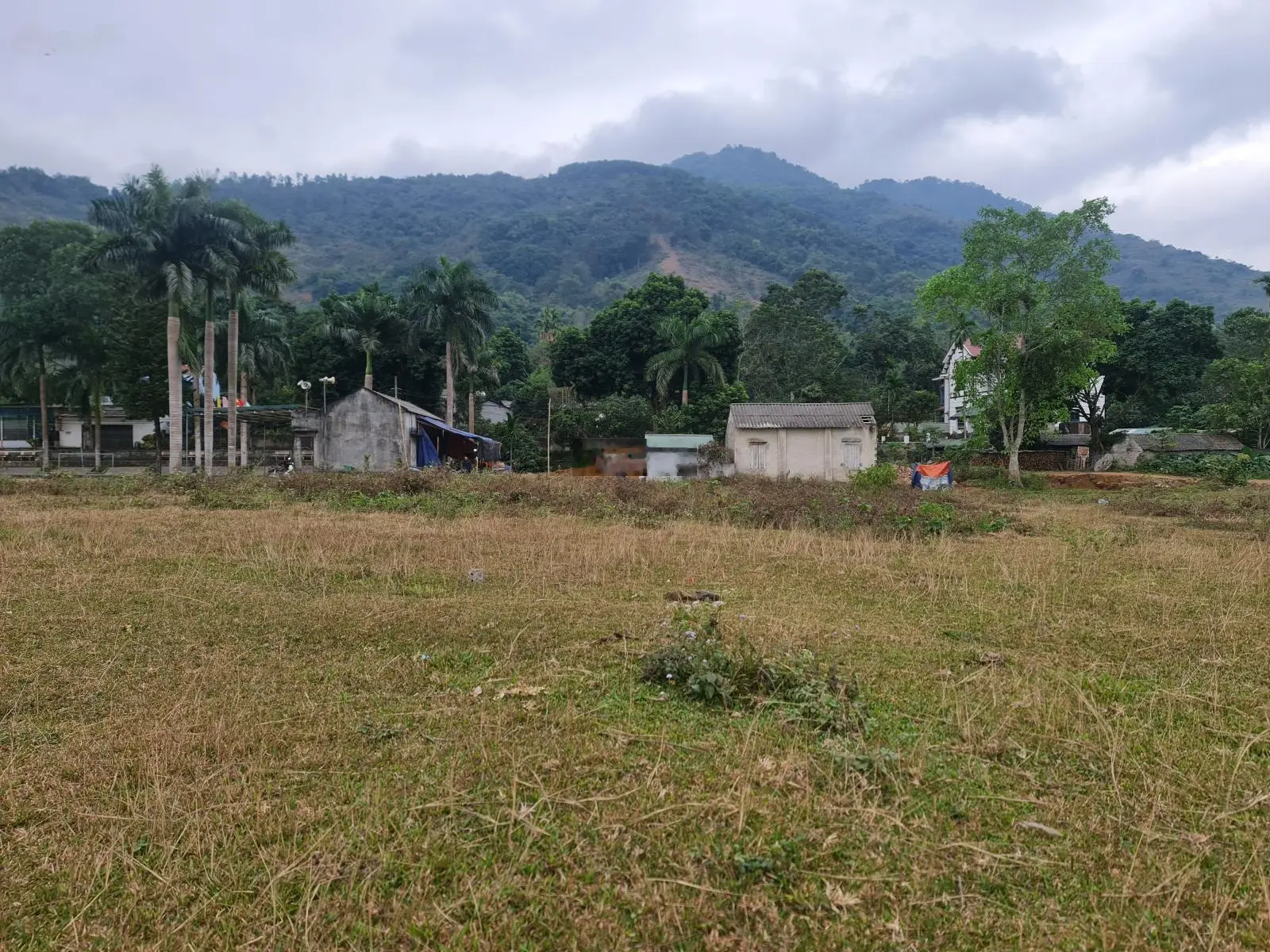 Bán đất Lương Sơn, Hòa Bình 5336m2 siêu đẹp giá tốt hợp nghỉ dưỡng.