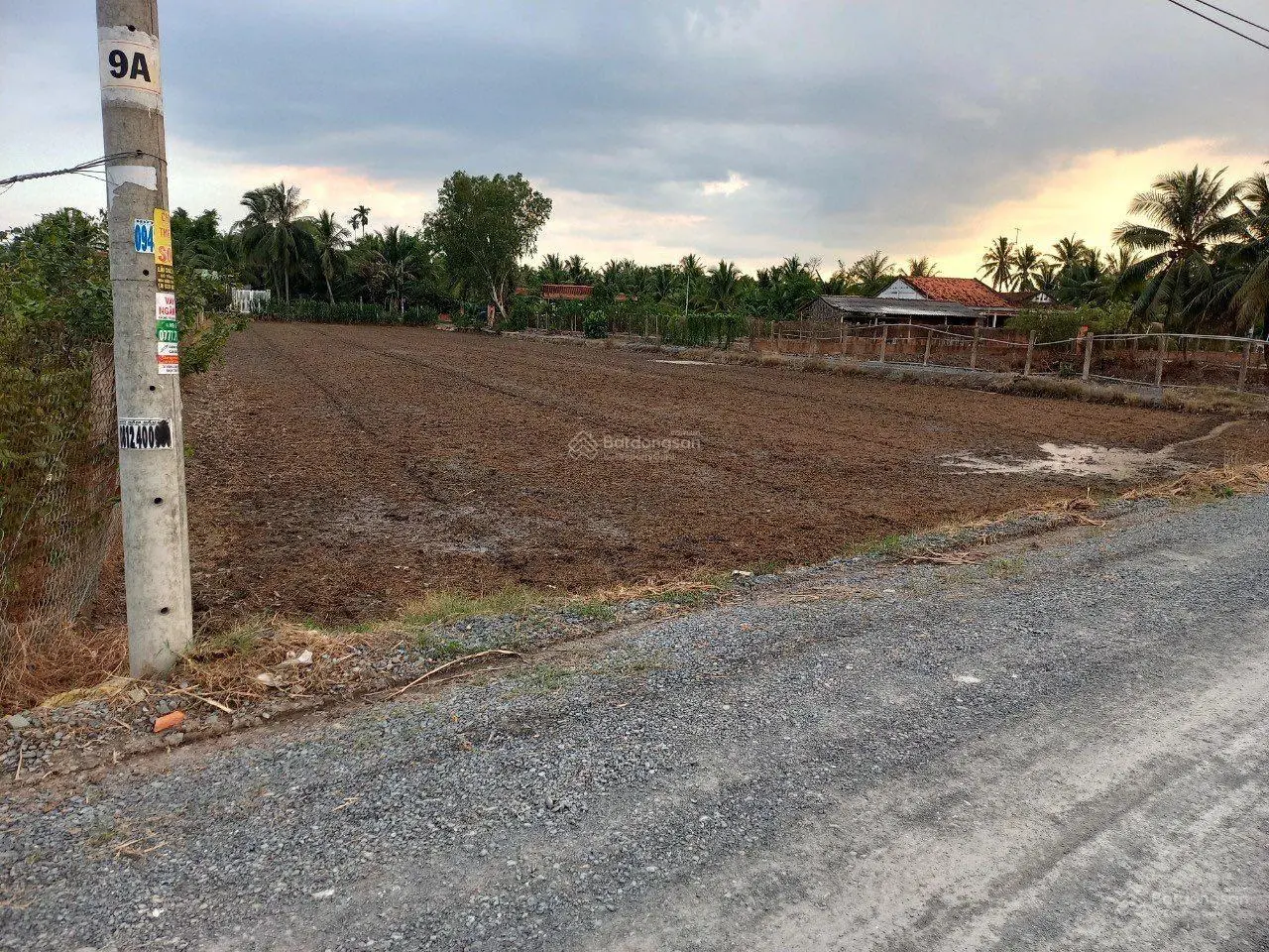 Bán 2532m2 lúa (22 x 102), 3 mặt tiền đường 6m xã Lợi Bình Nhơn. Giá: 1 tỷ 350 triệu / 1000m2
