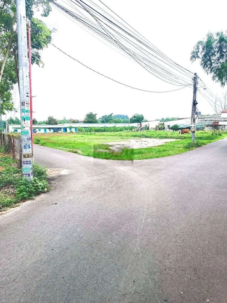 *** lô đất đầu tư siêu đẹp Long Thành 800tr