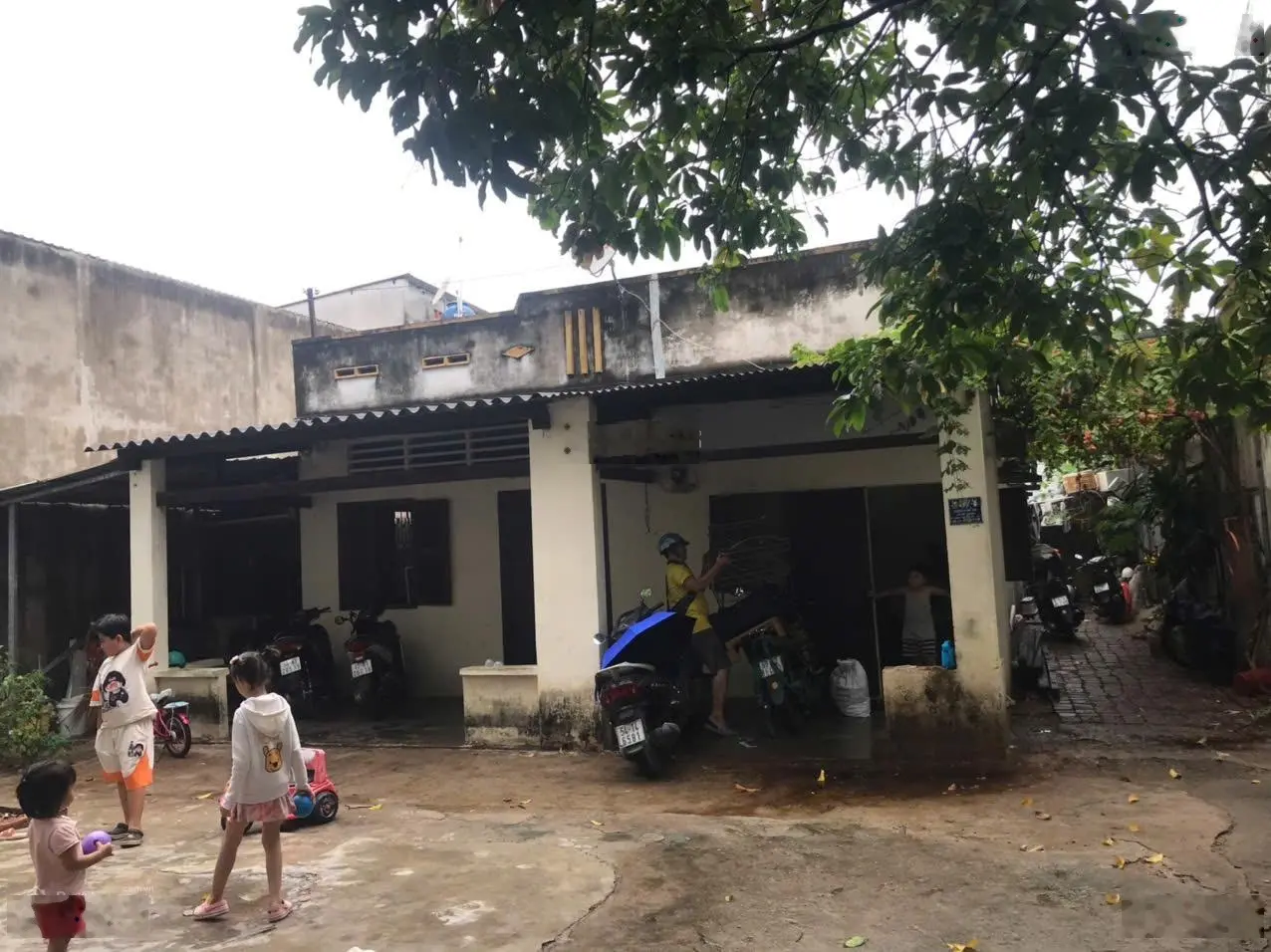 Chính chủ cần bán nhà đất mặt tiền hẻm hàng tre phường long thạnh mỹ, tp. thủ đức